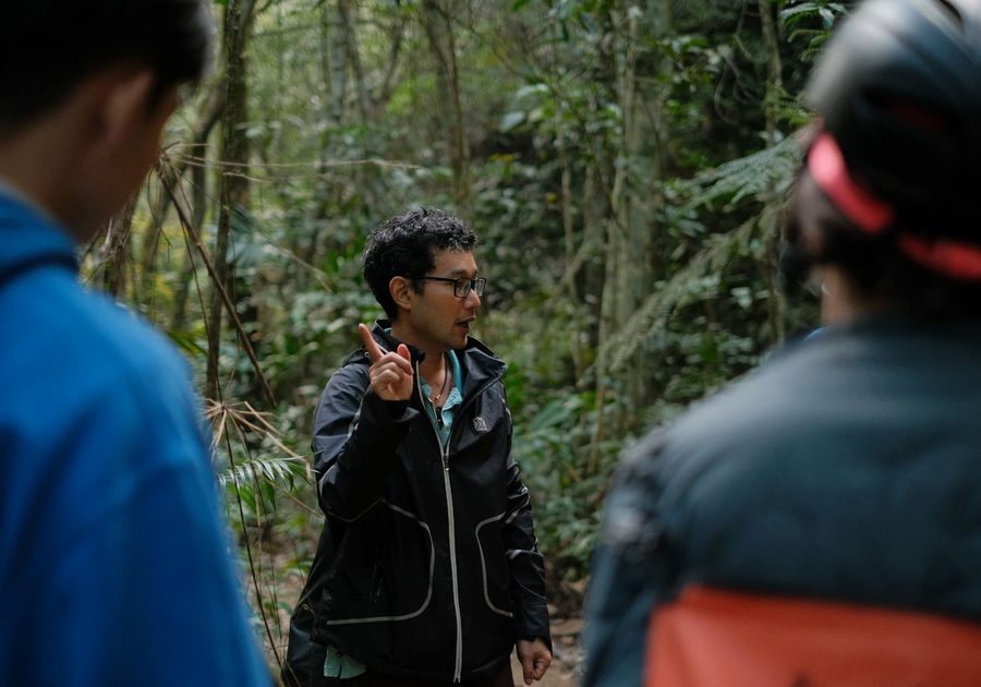 Guided Walks & Nature experiences