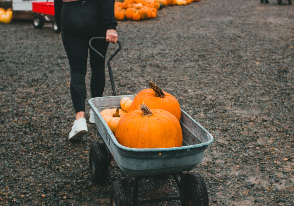 Seasonal Experiences